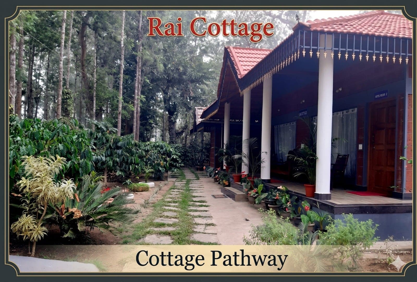 Pathway between the cottages and the coffee plants at Rai Cottage